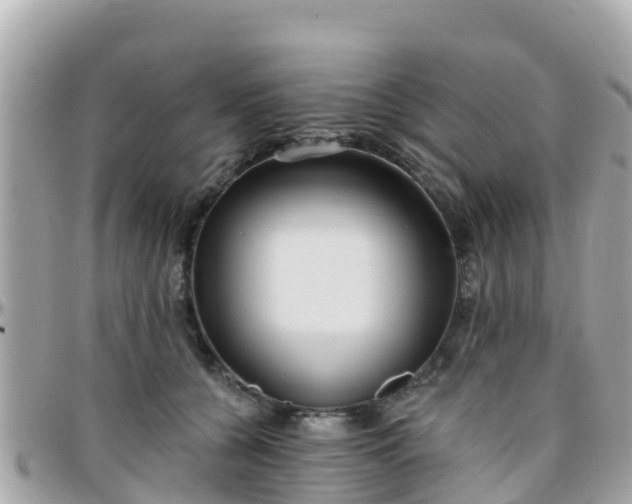 X0000096210560200801251037