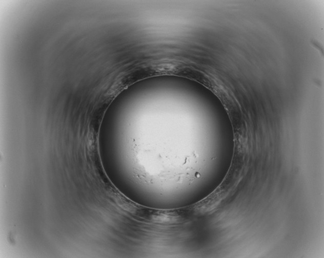 X0000096210561200801251037