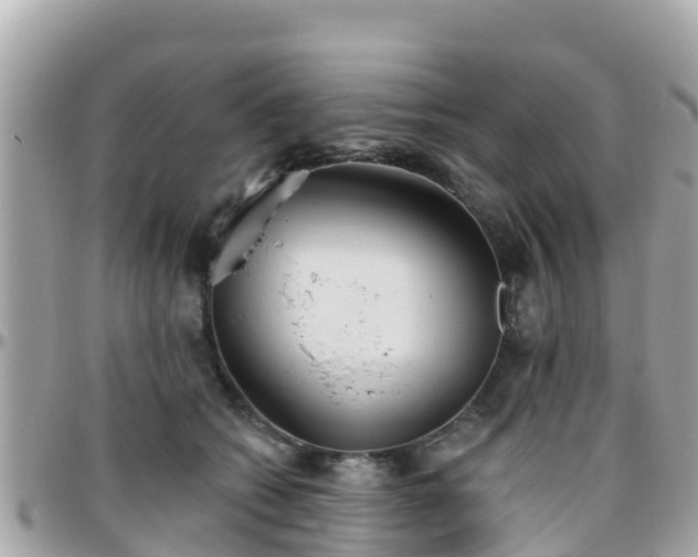 X0000096210562200801251037