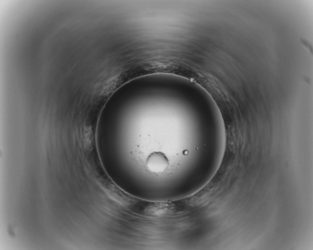 X0000096210563200801251037