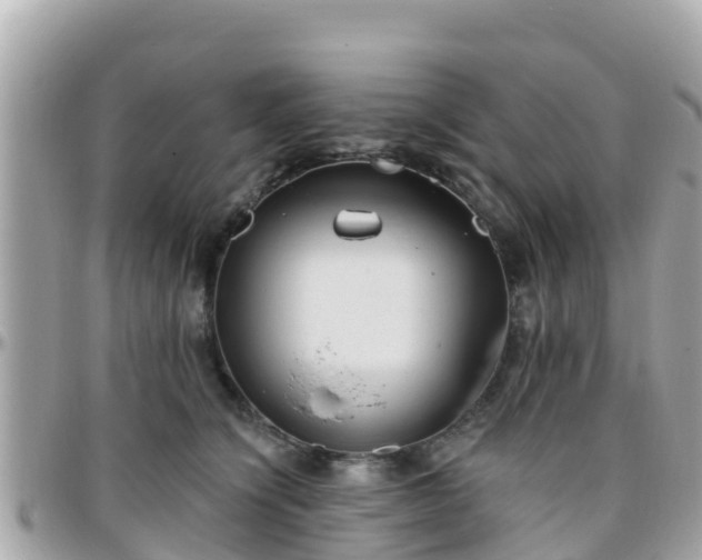 X0000096210564200801251037