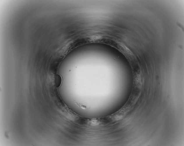 X0000096210565200801251037