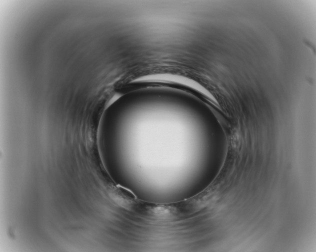 X0000096210566200801251037