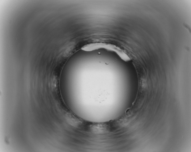 X0000096210567200801251037