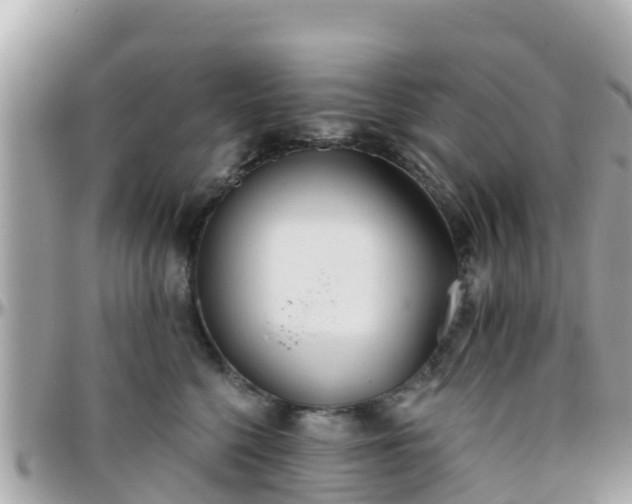 X0000096210568200801251037