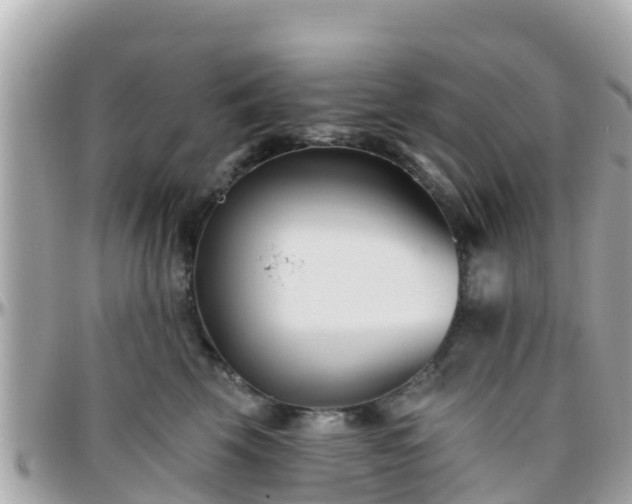 X0000096210569200801251037