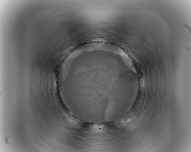 X0000096210570200801251037