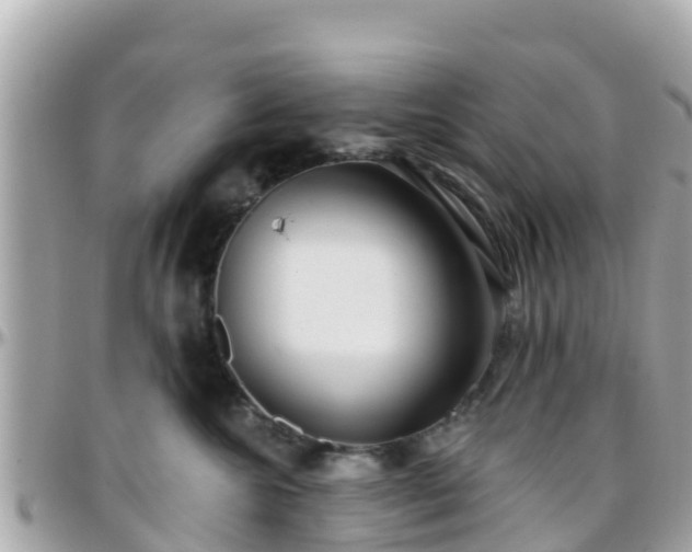 X0000096210572200801251037