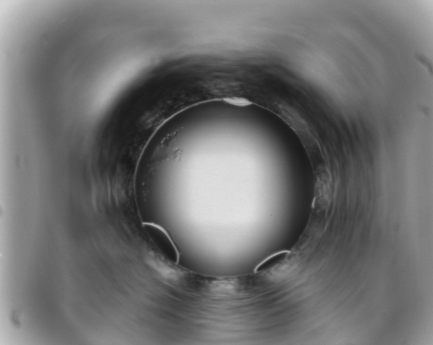 X0000096210574200801251037