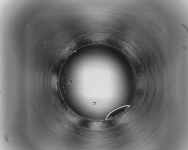 X0000096210575200801251037