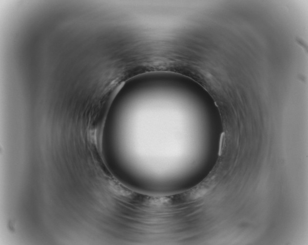 X0000096210576200801251037