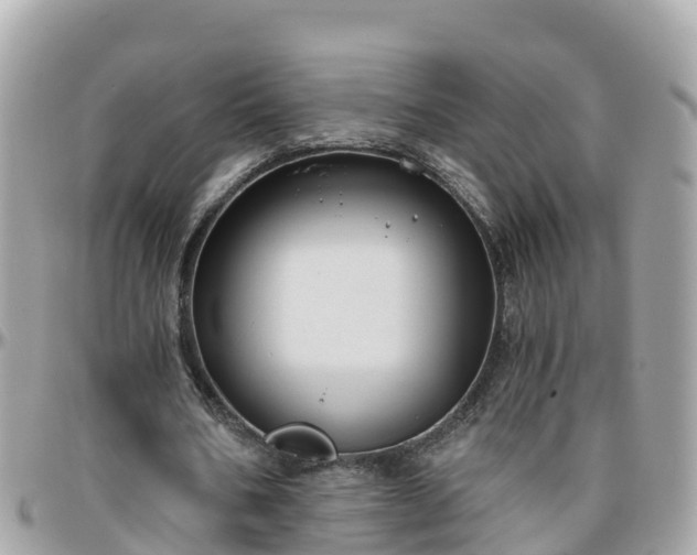 X0000096210578200801251036