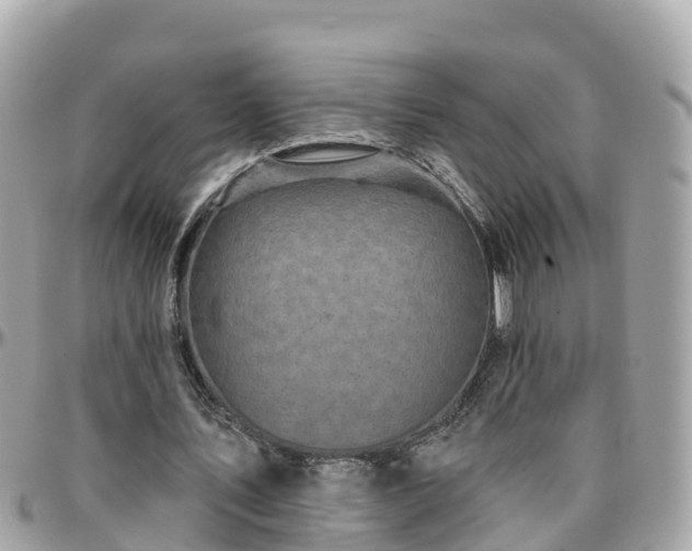 X0000096210579200801251036