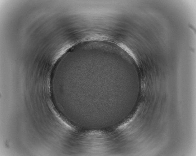 X0000096210581200801251036