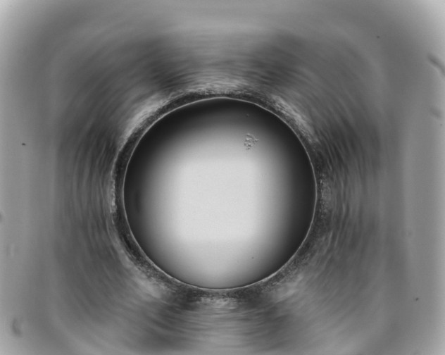 X0000096210582200801251036