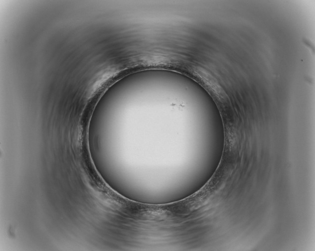 X0000096210583200801251036