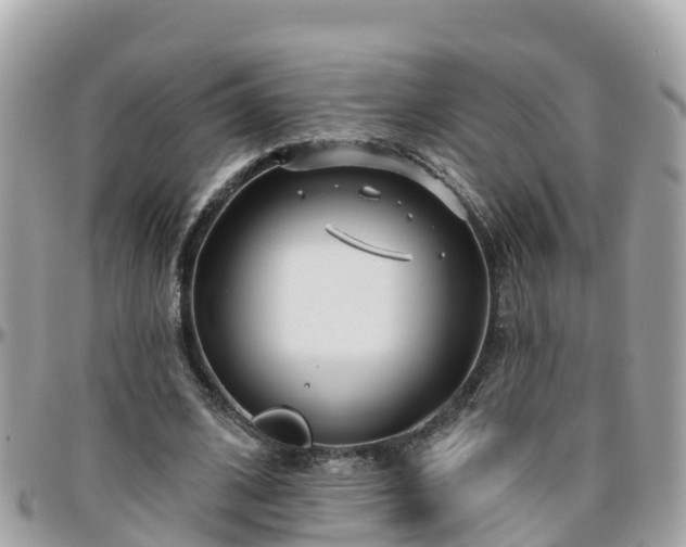 X0000096210584200801251036