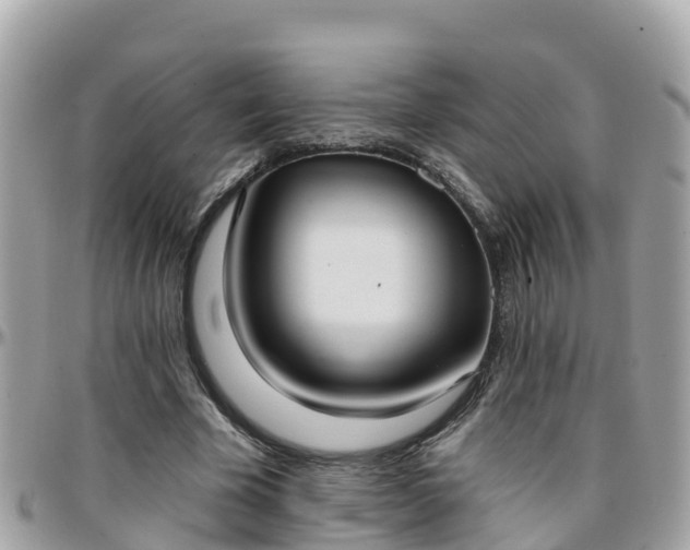 X0000096210585200801251036