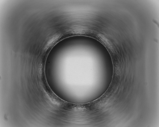 X0000096210586200801251036