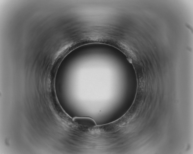 X0000096210587200801251036