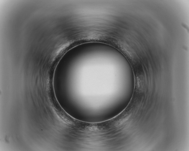 X0000096210588200801251036