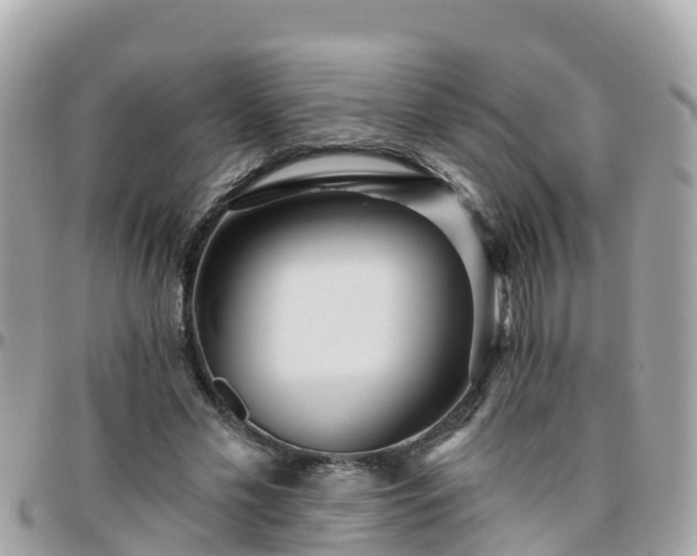 X0000096210589200801251036