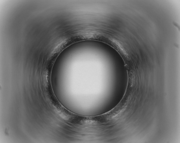 X0000096210590200801251036