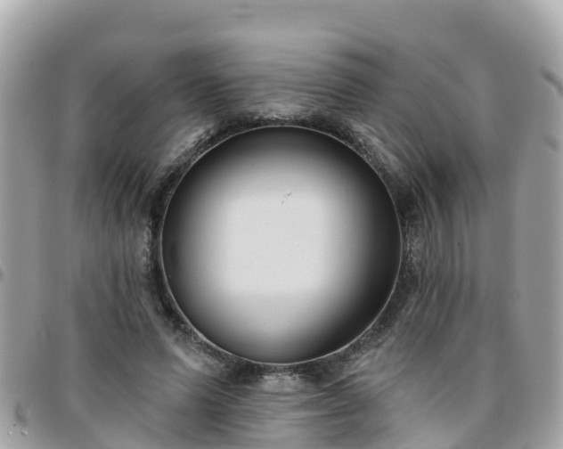 X0000096210591200801251036