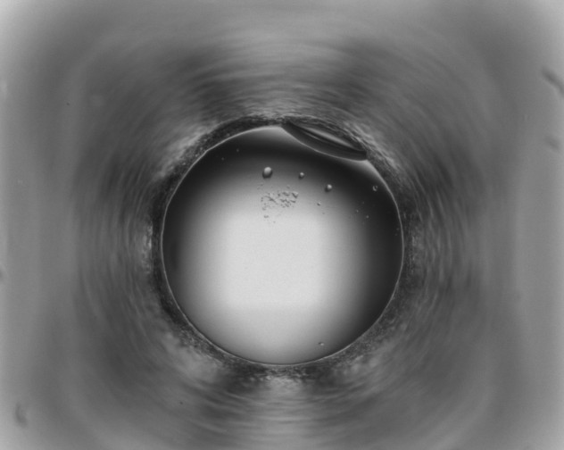 X0000096210592200801251036