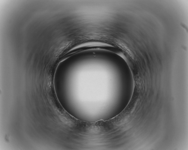 X0000096210593200801251036