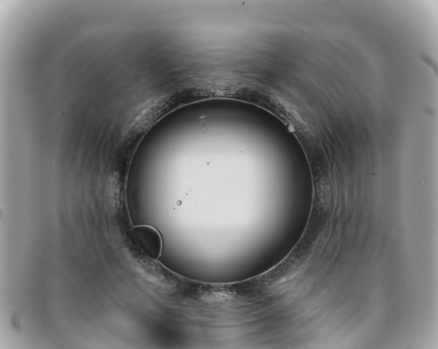 X0000096210594200801251036