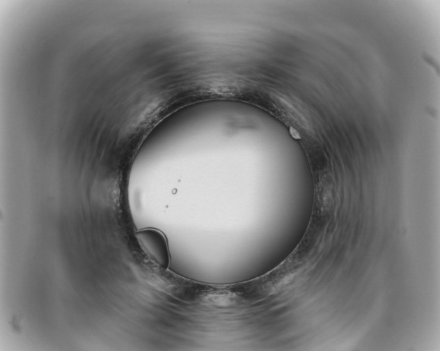 X0000096210595200801251036