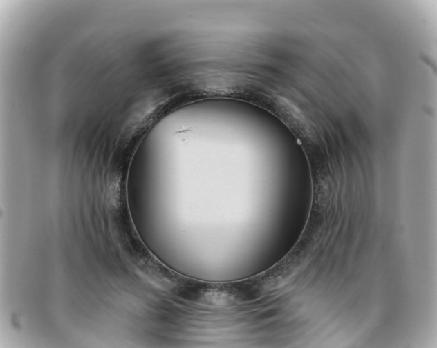 X0000096210596200801251036