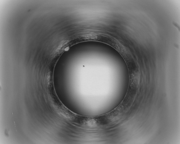 X0000096210600200801251036