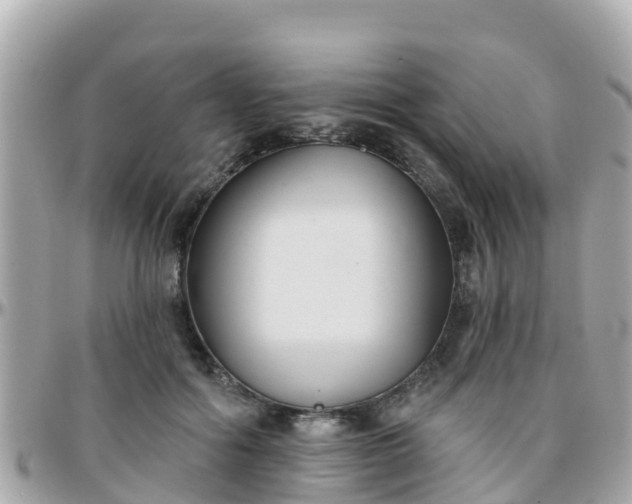 X0000096210602200801251036