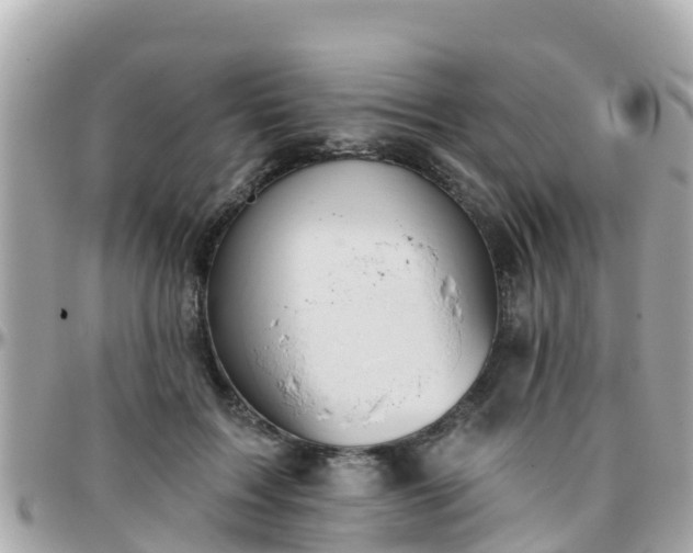 X0000096210603200801251036