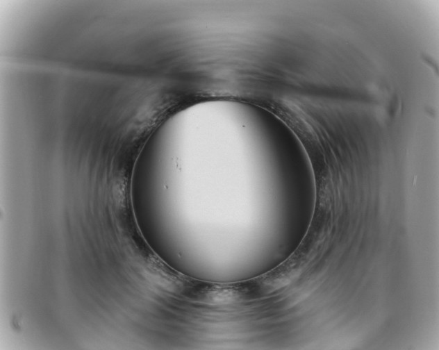 X0000096210604200801251036