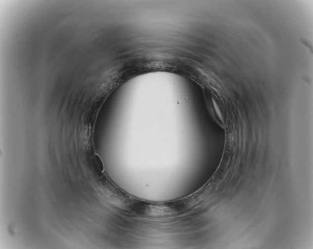 X0000096210605200801251036