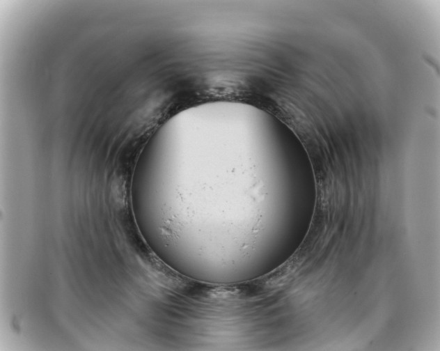 X0000096210606200801251036