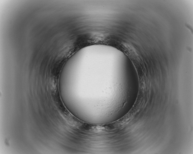 X0000096210607200801251036