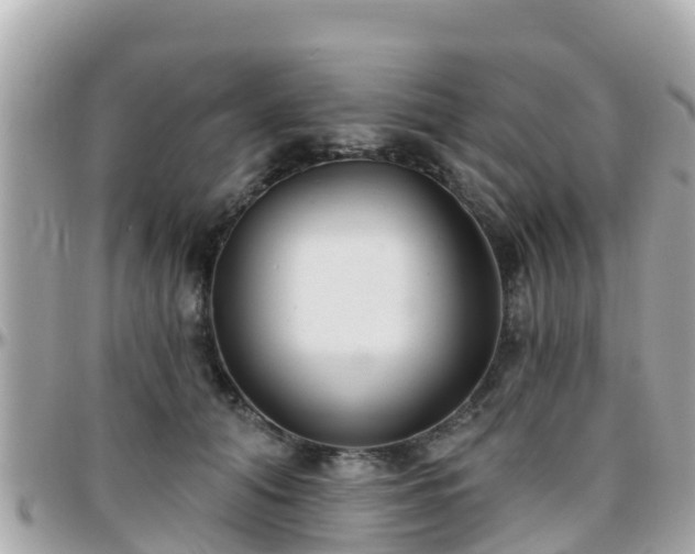 X0000096210608200801251036