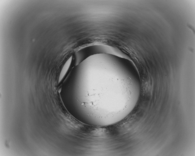 X0000096210609200801251036