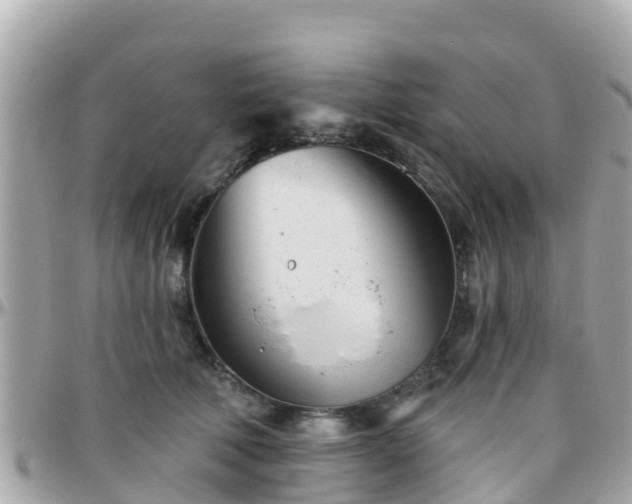 X0000096210610200801251036