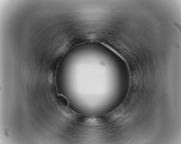 X0000096210611200801251036