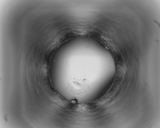 X0000096210612200801251036