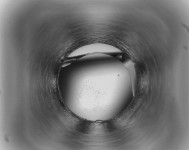 X0000096210613200801251036