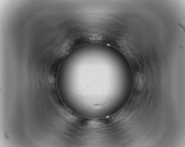 X0000096210614200801251036