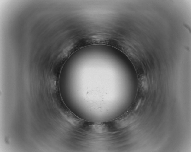 X0000096210615200801251036