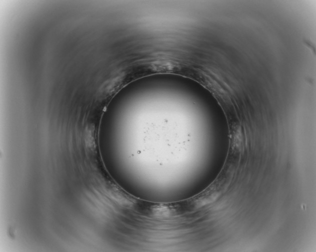 X0000096210616200801251036