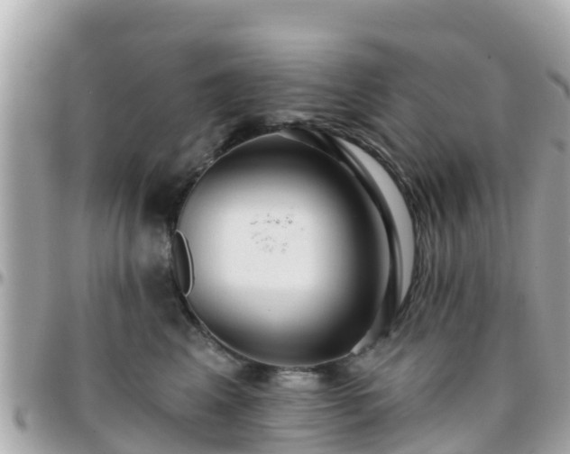 X0000096210617200801251036